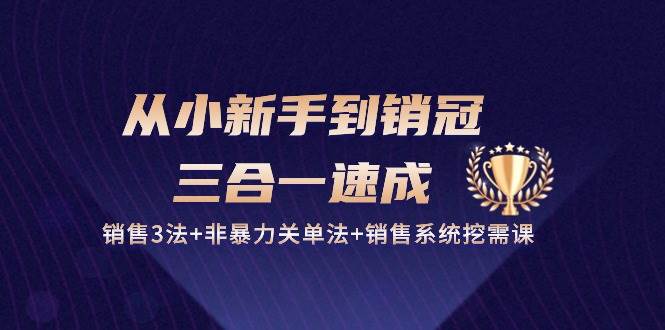 从小新手到销冠三合一速成：销售3法+非暴力关单法+销售系统挖需课 (27节)-讯领网创