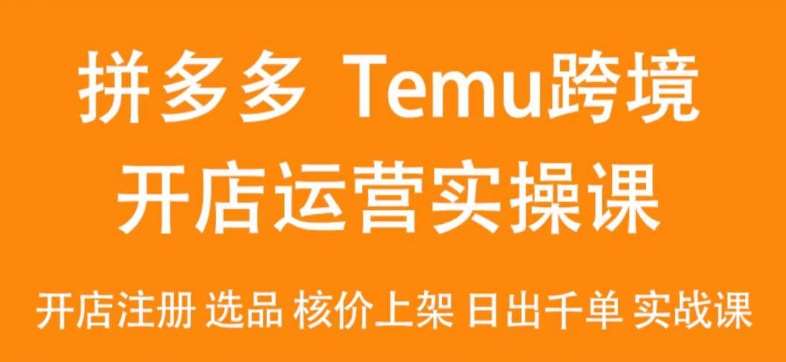 2024Temu最新玩法，Temu跨境开店运营实操课，开店注册/选品/核价上架/日出千单实战课-讯领网创