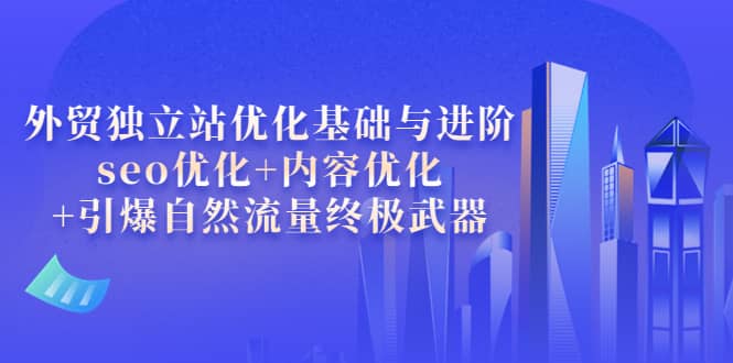 外贸独立站优化基础与进阶，seo优化+内容优化+引爆自然流量终极武器-讯领网创