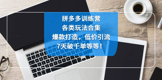 拼多多训练营：各玩法合集，爆款打造，低价引流，7天破千单等等-讯领网创