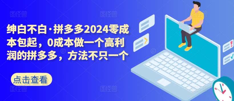 拼多多2024零成本包起，0成本做一个高利润的拼多多，方法不只一个-讯领网创