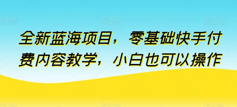 全新蓝海项目，零基础快手付费内容教学，小白也可以操作【揭秘】-讯领网创