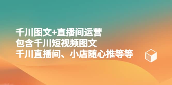 千川图文+直播间运营，包含千川短视频图文、千川直播间、小店随心推等等-讯领网创