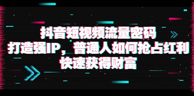 抖音短视频流量密码：打造强IP，普通人如何抢占红利，快速获得财富-讯领网创