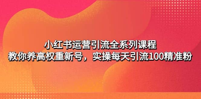 小红书运营引流全系列课程：教你养高权重新号-讯领网创