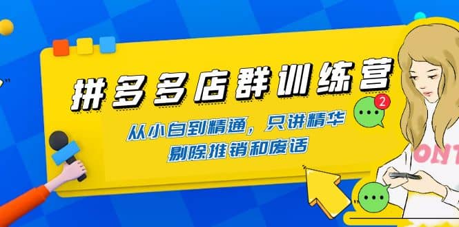 拼多多店群训练营：从小白到精通，只讲精华，剔除推销和废话-讯领网创