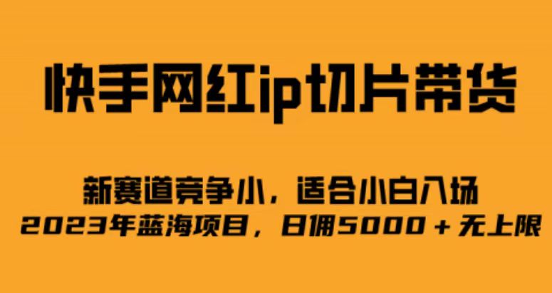 快手网红ip切片新赛道，竞争小事，适合小白 2023蓝海项目-讯领网创