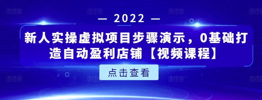 新人实操虚拟项目步骤演示，0基础打造自动盈利店铺【视频课程】-讯领网创