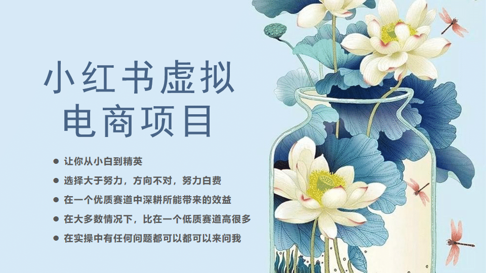 小红书虚拟电商从0到1，让你从小白到精英（20节实操课程）-讯领网创