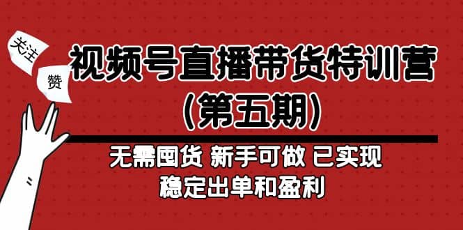 视频号直播带货特训营（第五期）无需囤货 新手可做 已实现稳定出单和盈利-讯领网创