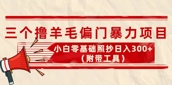 外面卖998的三个撸羊毛项目，小白零基础照抄（附带工具）-讯领网创