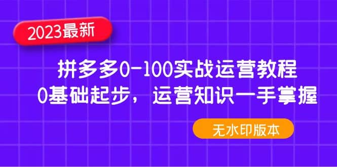 2023拼多多0-100实战运营教程，0基础起步，运营知识一手掌握（无水印）-讯领网创