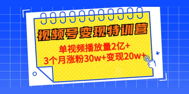 20天视频号变现特训营：单视频播放量2亿+-讯领网创