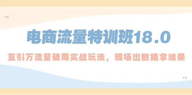 电商流量特训班18.0，直引万流量破局实操玩法，现场出数据拿结果-讯领网创