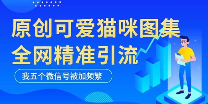 黑科技纯原创可爱猫咪图片，全网精准引流，实操5个VX号被加频繁-讯领网创