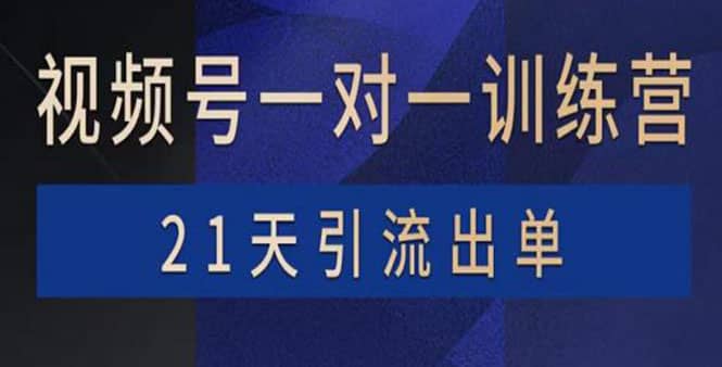 视频号训练营：带货，涨粉，直播，游戏，四大变现新方向，21天引流出单-讯领网创