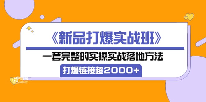 《新品打爆实战班》一套完整的实操实战落地方法，打爆链接超2000+（38节课)-讯领网创