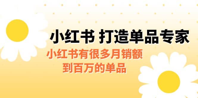 某公众号付费文章《小红书 打造单品专家》小红书有很多月销额到百万的单品-讯领网创