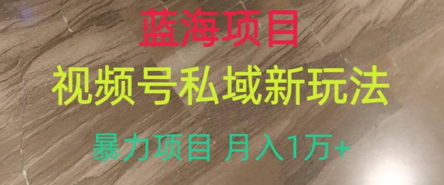 蓝海项目，视频号私域新玩法，暴力项目月入1万+【揭秘】-讯领网创