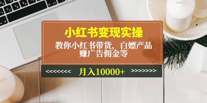 小红书变现实操：教你小红书带货，白嫖产品，赚广告佣金等-讯领网创