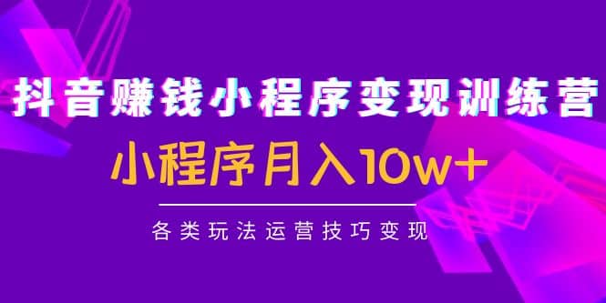 抖音小程序变现训练营：小程序各类玩法运营技巧变现-讯领网创