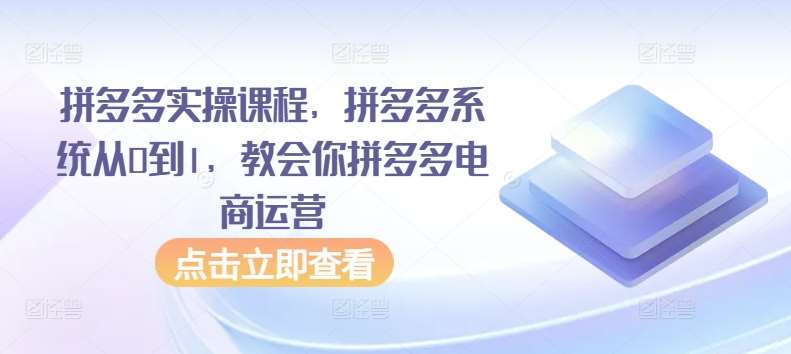 拼多多实操课程，拼多多系统从0到1，教会你拼多多电商运营-讯领网创