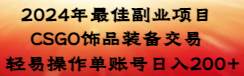 （8941期）2024年最佳副业项目 CSGO饰品装备交易 轻易操作单账号日入200+-讯领网创