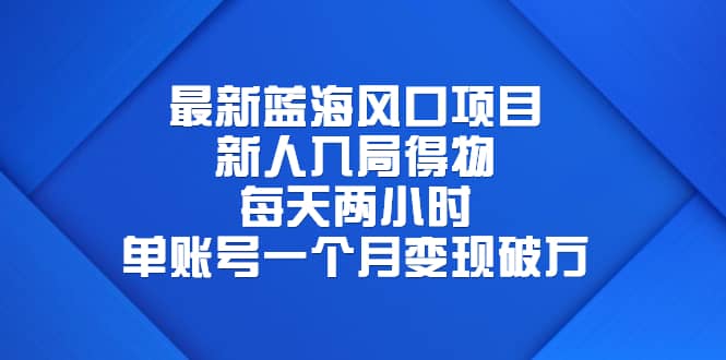 最新蓝海风口项目，新人入局得物，每天两小时，单账号一个月变现破万-讯领网创