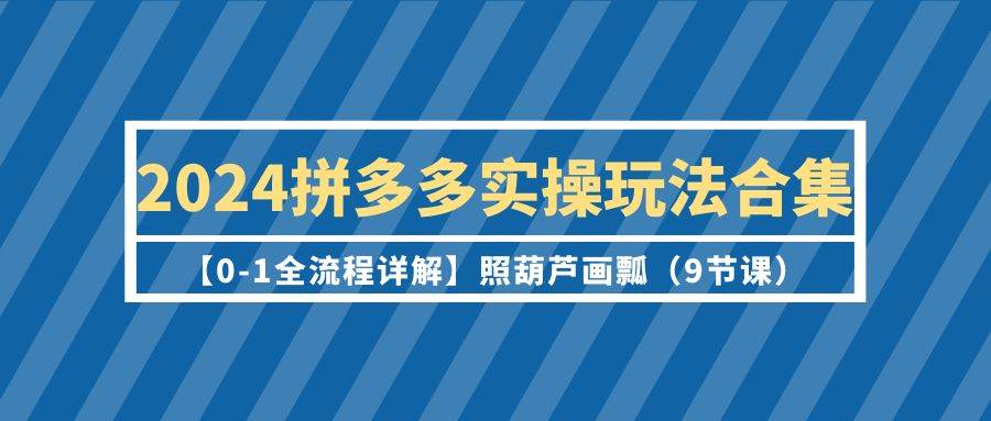 （9559期）2024拼多多实操玩法合集【0-1全流程详解】照葫芦画瓢（9节课）-讯领网创