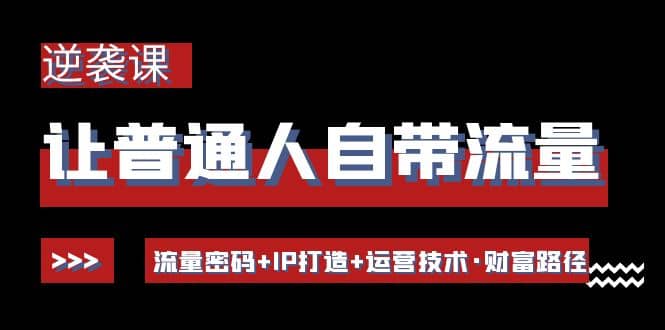 让普通人自带流量的逆袭课：流量密码+IP打造+运营技术·财富路径-讯领网创