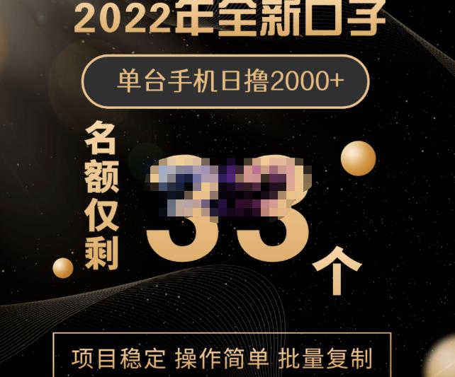 2022年全新口子，手机批量搬砖玩法，一部手机日撸2000+-讯领网创