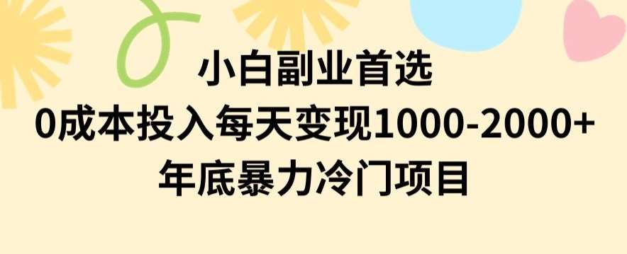 小白副业首选，0成本投入，每天变现1000-2000年底暴力冷门项目【揭秘】-讯领网创