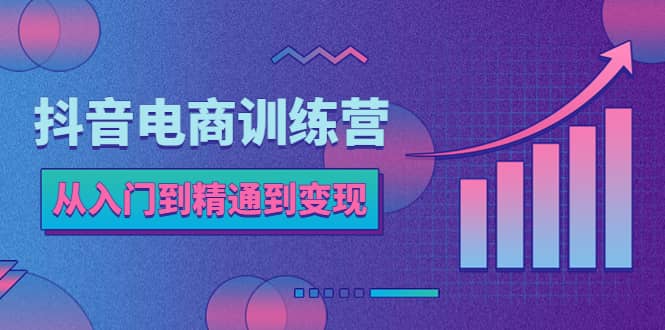 抖音电商训练营：从入门到精通，从账号定位到流量变现，抖店运营实操-讯领网创