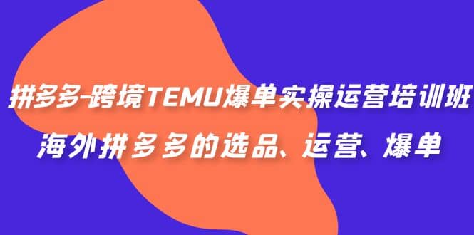 拼多多-跨境TEMU爆单实操运营培训班，海外拼多多的选品、运营、爆单-讯领网创