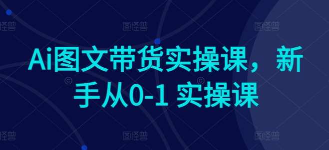 Ai图文带货实操课，新手从0-1 实操课-讯领网创