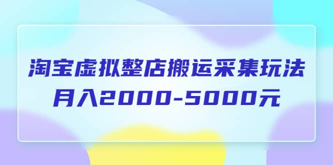 淘宝虚拟整店搬运采集玩法分享课：月入2000-5000元（5节课）-讯领网创