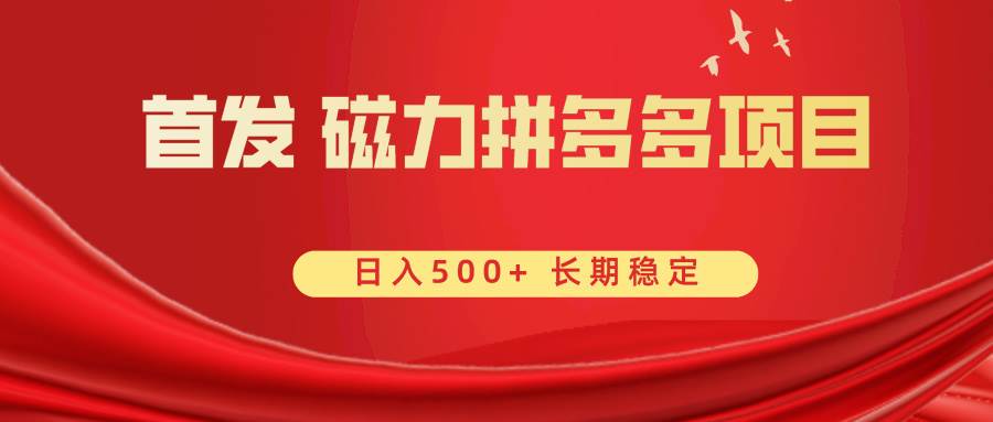 （8611期）首发 磁力拼多多自撸  日入500+-讯领网创