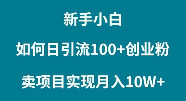 （9556期）新手小白如何通过卖项目实现月入10W+-讯领网创