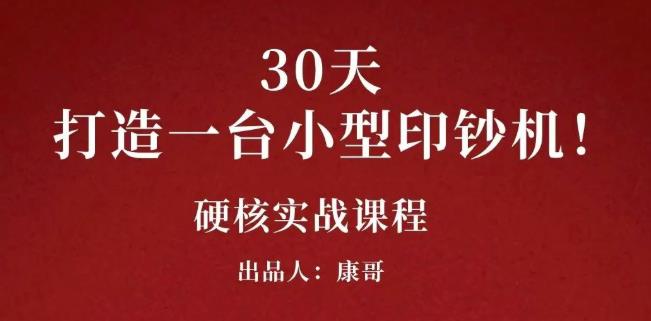 康哥30天打造一台小型印钞机：躺赚30万的项目完整复盘（视频教程）-讯领网创