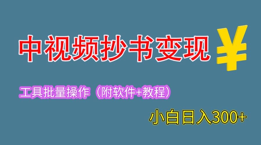 2023中视频抄书变现（附工具+教程），一天300+，特别适合新手操作的副业-讯领网创