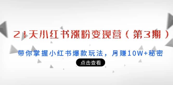 21天小红书涨粉变现营（第3期）：带你掌握小红书爆款玩法，月赚10W+秘密-讯领网创