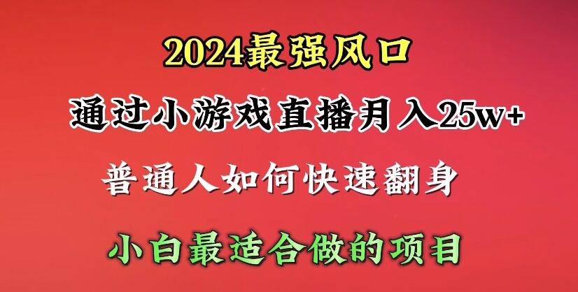 （10020期）2024年最强风口，通过小游戏直播月入25w+单日收益5000+小白最适合做的项目-讯领网创