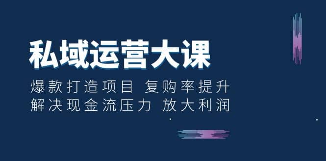 私域运营大课：爆款打造项目 复购率提升 解决现金流压力 放大利润-讯领网创