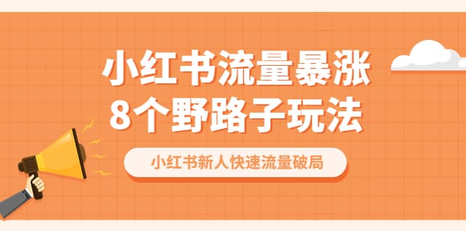 小红书流量-暴涨8个野路子玩法：小红书新人快速流量破局（8节课）-讯领网创