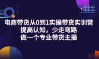 电商带货从0到1实操带货实训营:提高认知,少走弯路,做一个专业带货主播-讯领网创