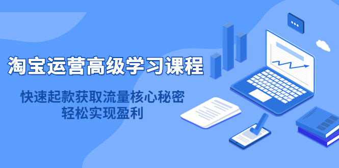 淘宝运营高级学习课程：快速获取流量核心秘密，轻松实现盈利！-讯领网创