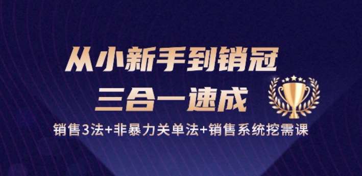 从小新手到销冠 三合一速成：销售3法+非暴力关单法+销售系统挖需课 (27节)-讯领网创