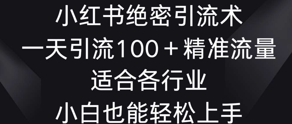 小红书绝密引流术，一天引流100+精准流量，适合各个行业，小白也能轻松上手【揭秘】-讯领网创