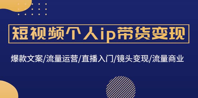 短视频个人ip带货变现：爆款文案/流量运营/直播入门/镜头变现/流量商业-讯领网创