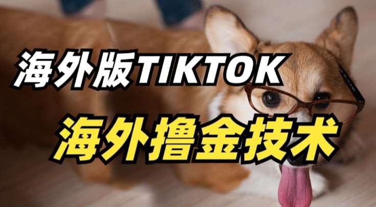 抖音海外版tiktok撸金技术，这个风口行业，赚钱真的不难【揭秘】-讯领网创